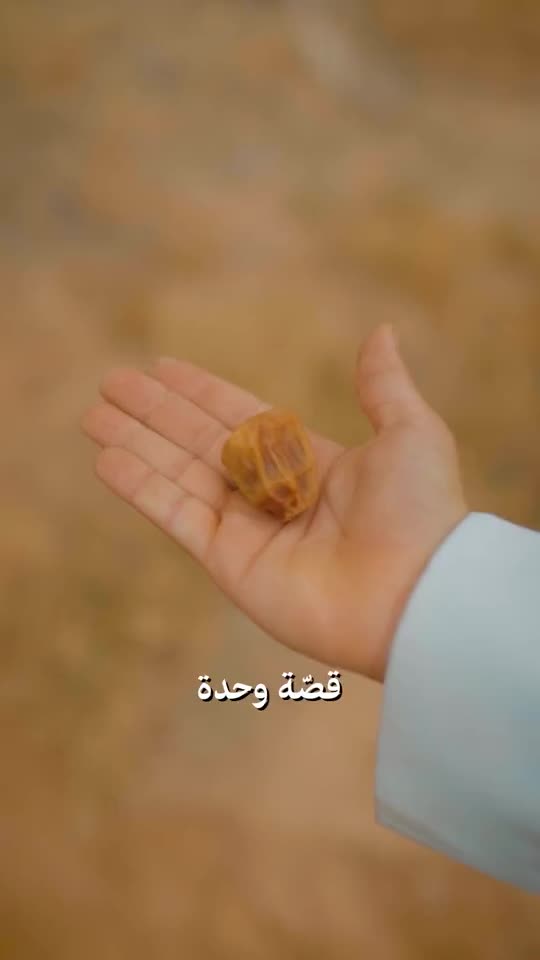 طفل يحمل سلة تمر بين النخيل